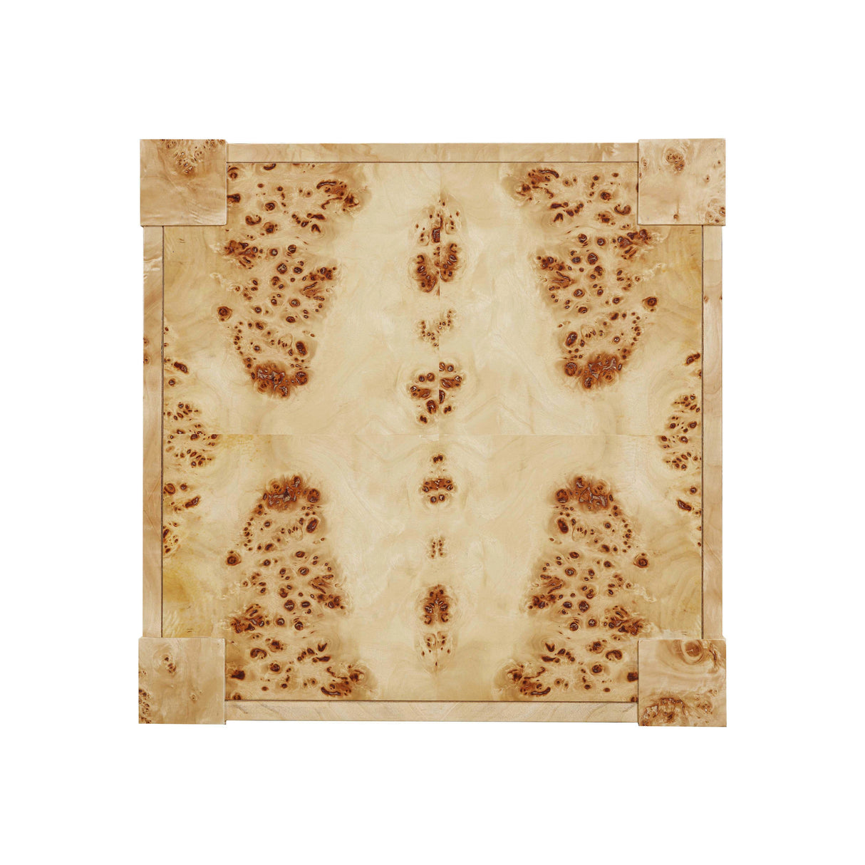 Brandyss Burl End Table by TOV Furniture at Eve Furniture