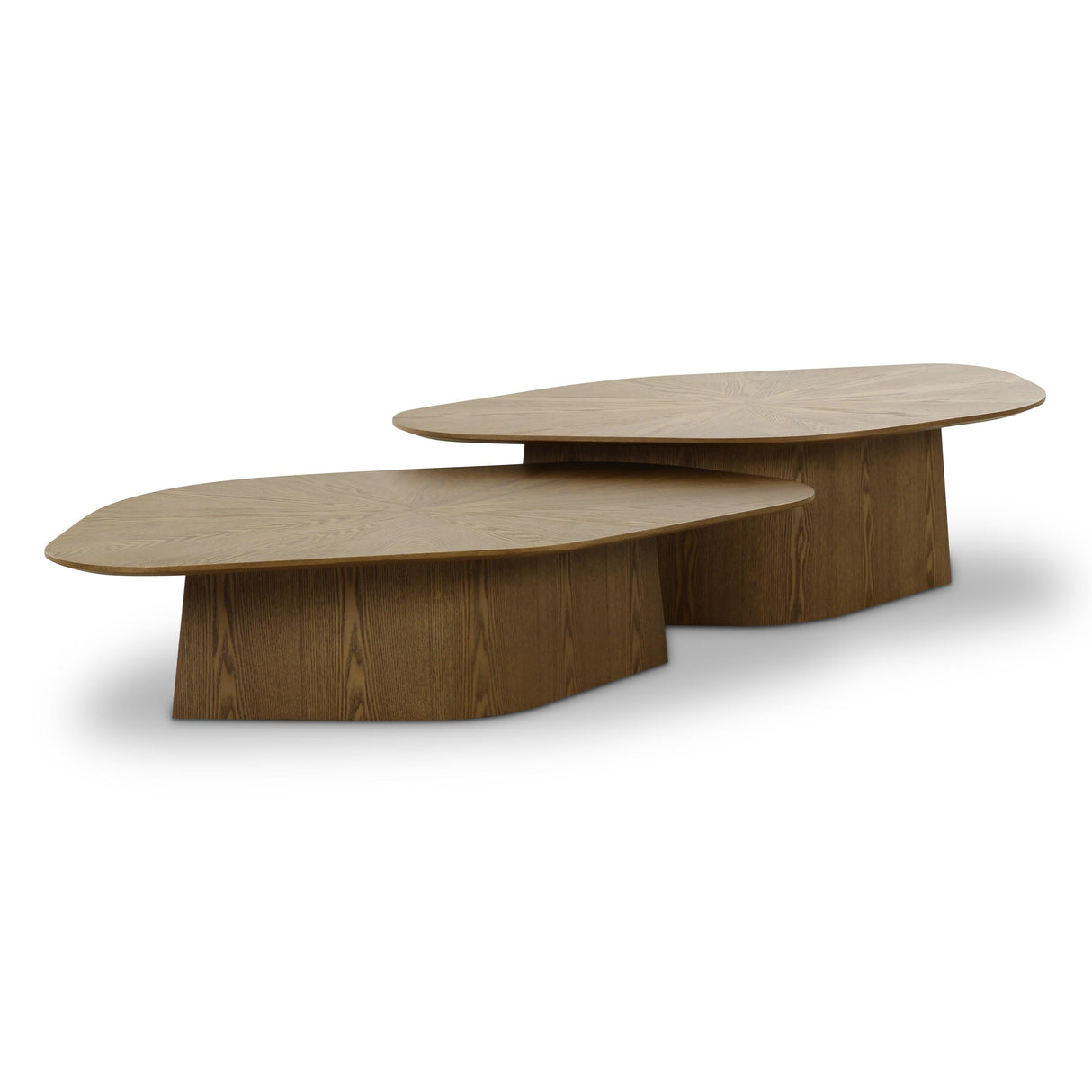 Roche Ash Nesting Coffee Table Set by TOV Furniture at Eve Furniture