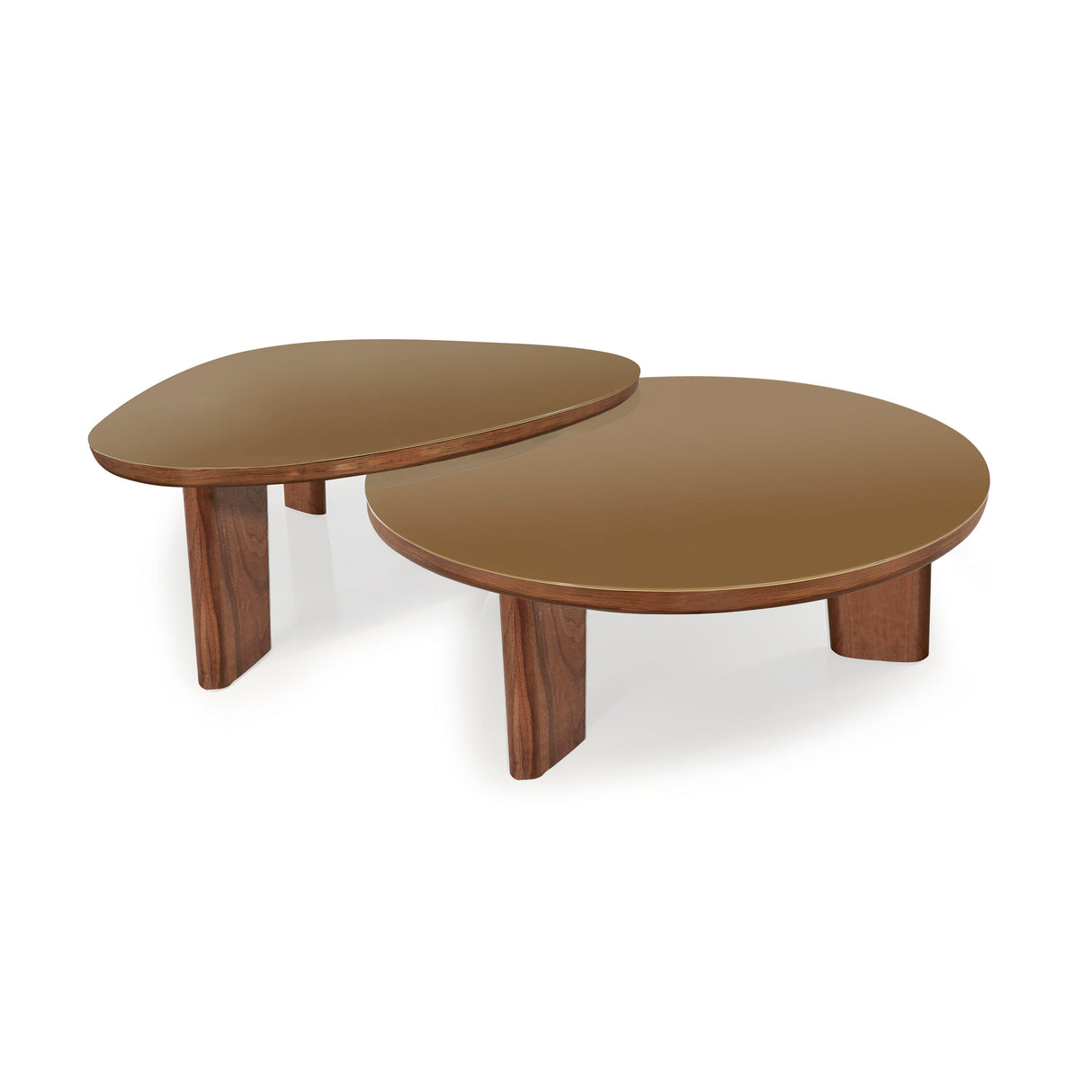 Oani Walnut and Glass Triangular Coffee Table by TOV Furniture at Eve Furniture