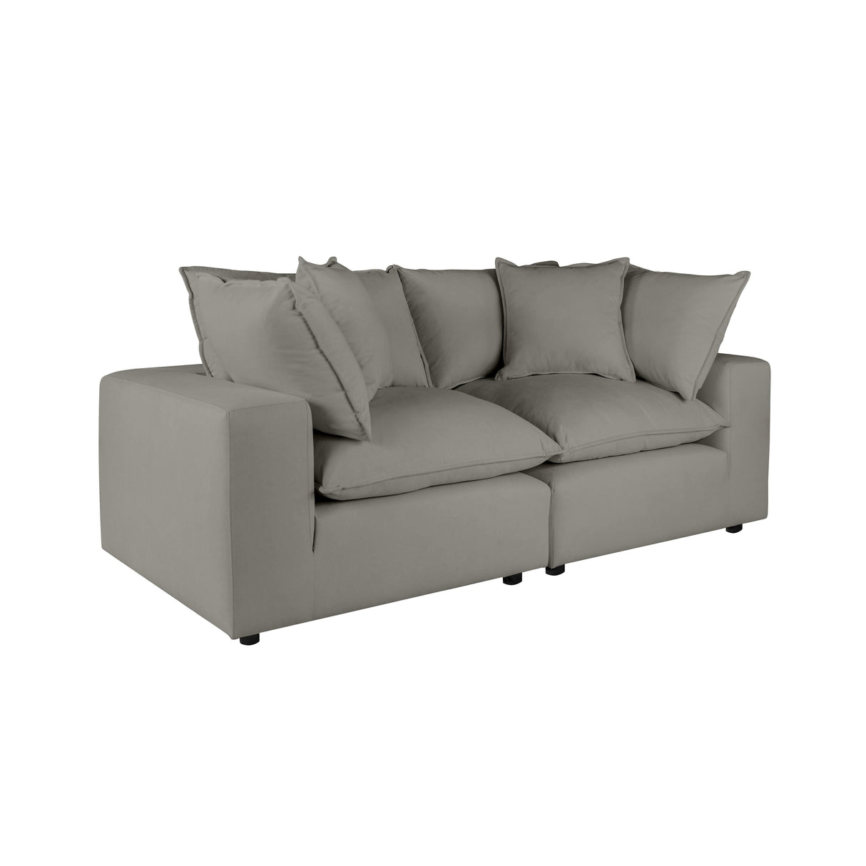 Cali Performance Fabric Modular Loveseat by TOV Furniture at Eve Furniture