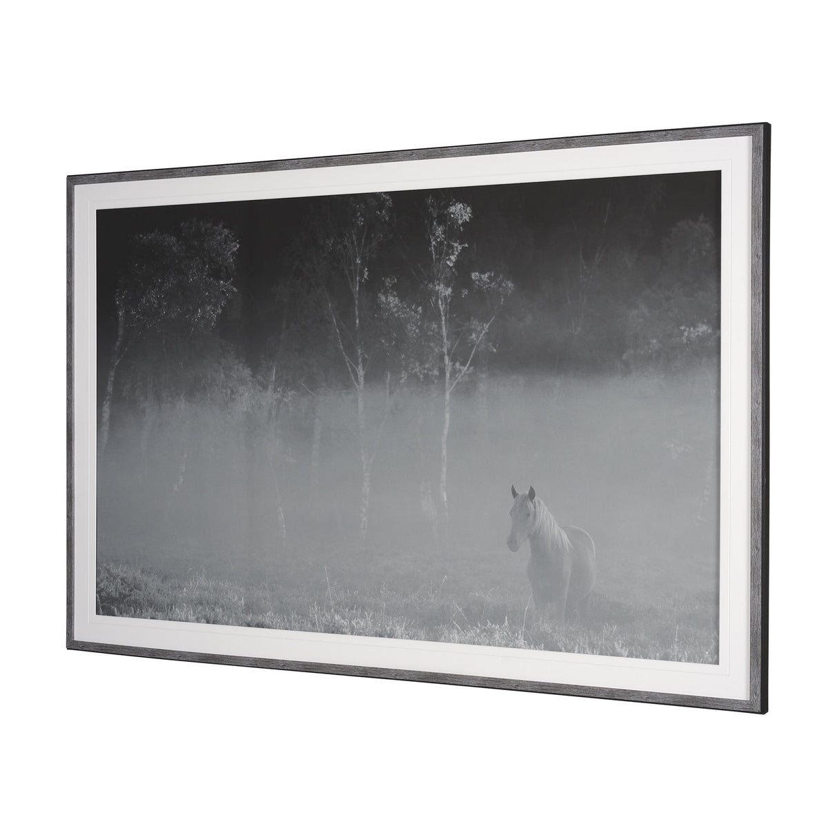 Quiet Morning by Matt Roseveare a Framed Photo Art Print Matted under Glass by Mercana at Eve Furniture