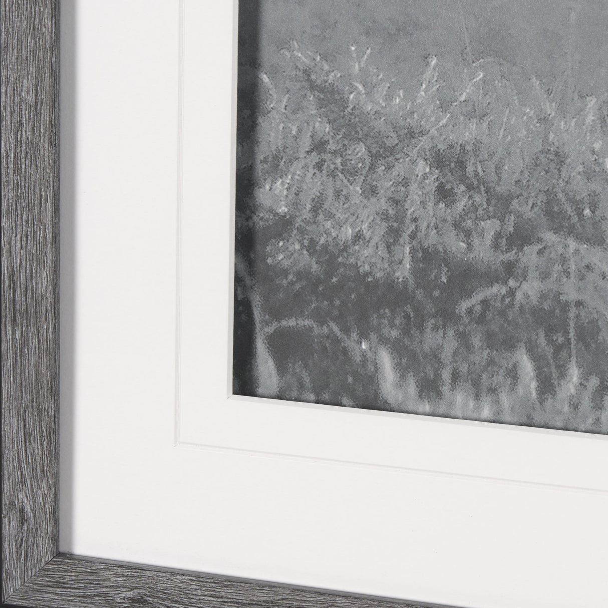 Quiet Morning by Matt Roseveare a Framed Photo Art Print Matted under Glass by Mercana at Eve Furniture