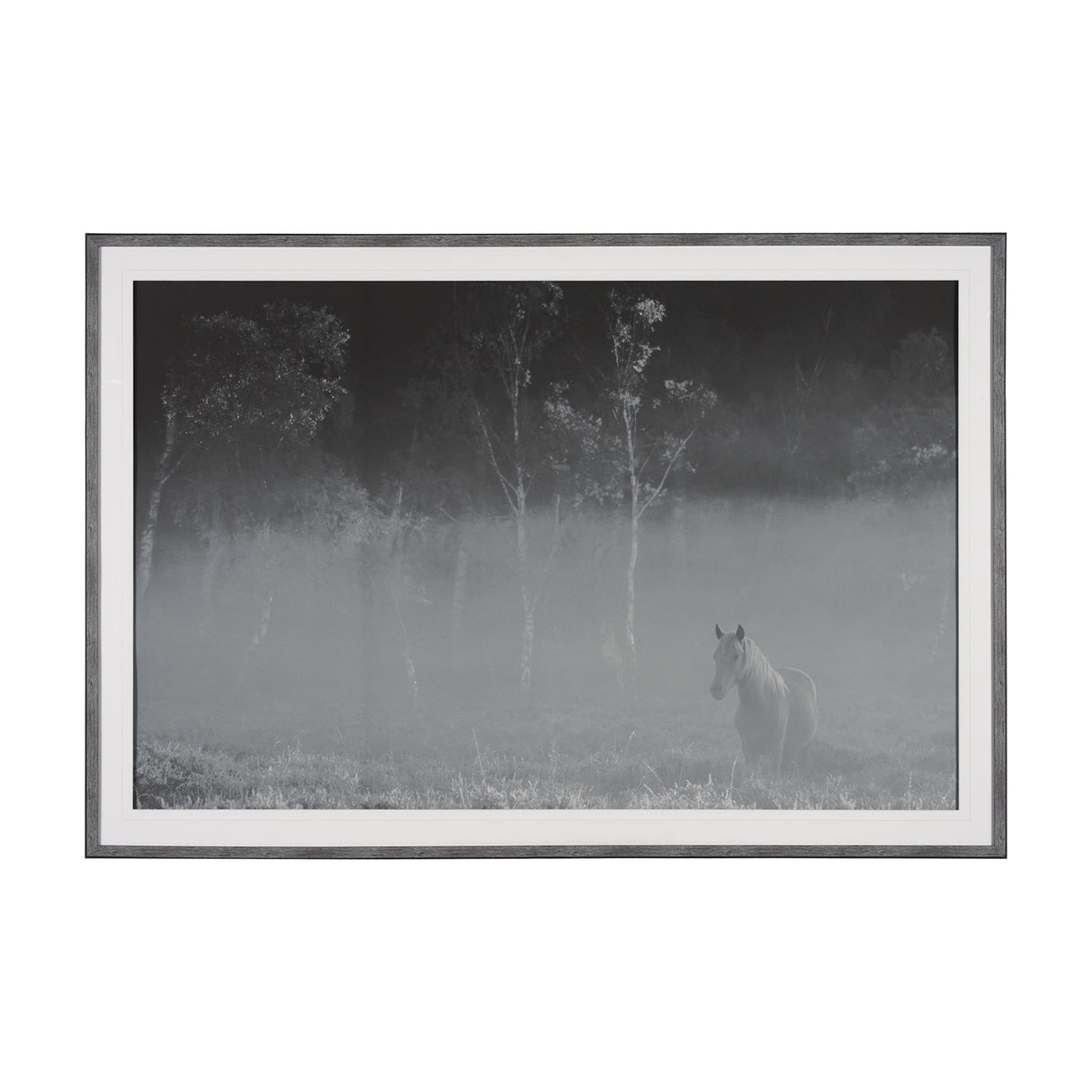 Quiet Morning by Matt Roseveare a Framed Photo Art Print Matted under Glass by Mercana at Eve Furniture