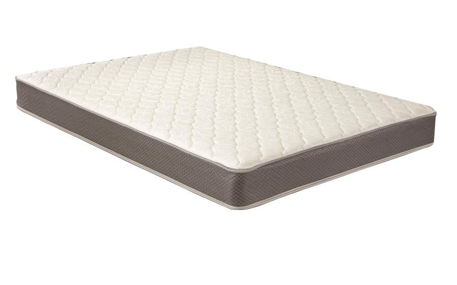 Quimby 7-inch Twin Innerspring Quilted Foam Mattress by Coaster at Eve Furniture