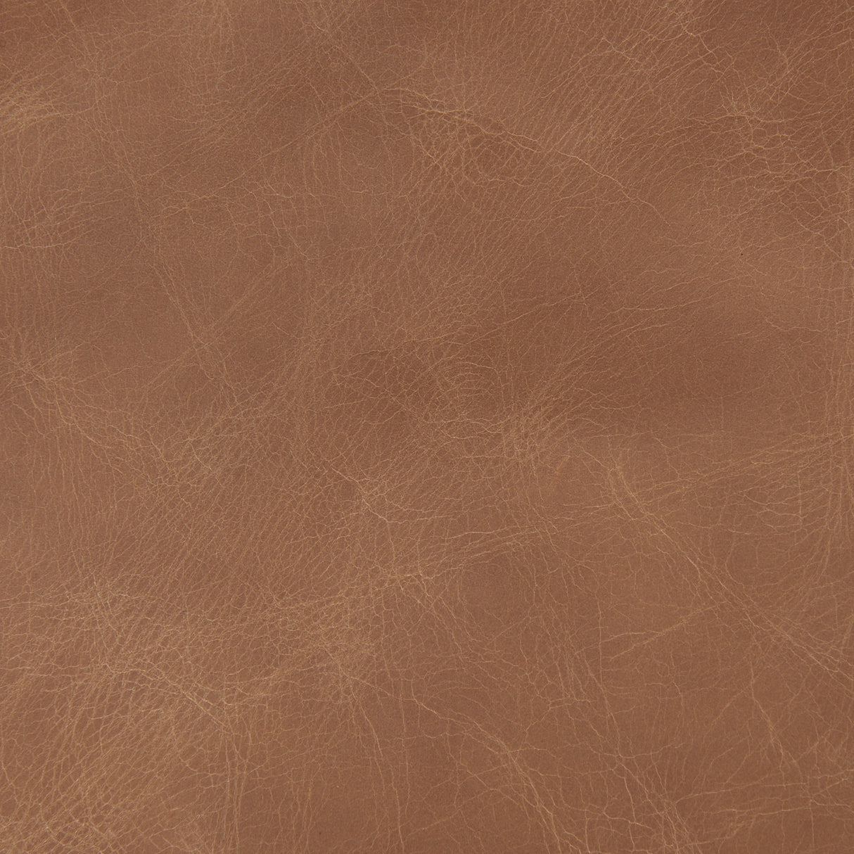 Raeleigh 28.0L x 34.1W x 34.4H Cognac Leather W/ Light Brown Wood Frame Accent Chair by Mercana at Eve Furniture