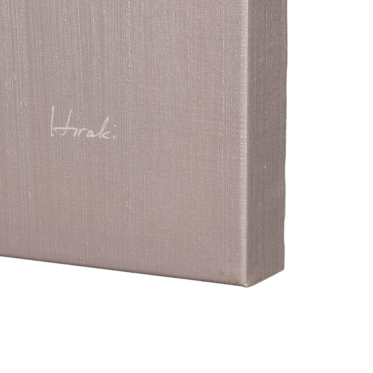 Rain of Feather Warm Gray by Mercana Studio a Hand Embellished Textured Canvas by Mercana at Eve Furniture