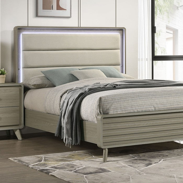 Rainier Contemporary Gray 5-Piece Queen Bedroom Set by Furniture of America at Eve Furniture
