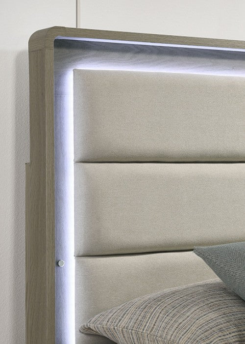 Rainier Contemporary Gray 5-Piece Queen Bedroom Set by Furniture of America at Eve Furniture
