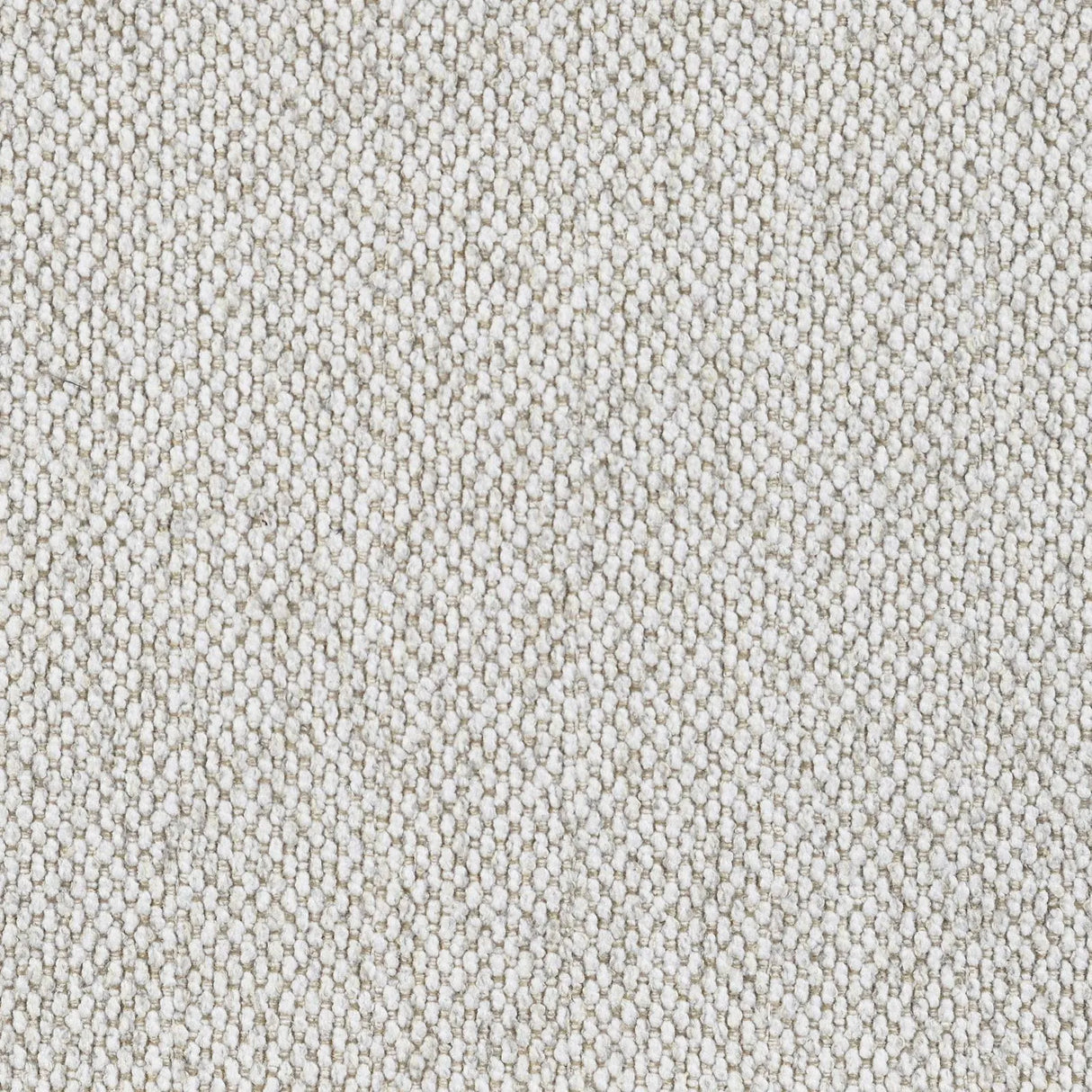 Rainn Latte Upholstered Tight Back Living Room Set by Coaster at Eve Furniture