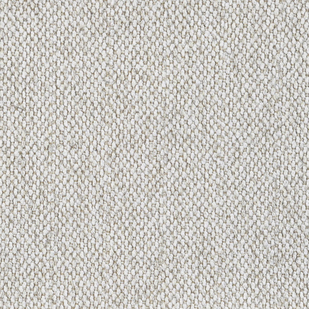 Rainn Latte Upholstered Tight Back Living Room Set by Coaster at Eve Furniture