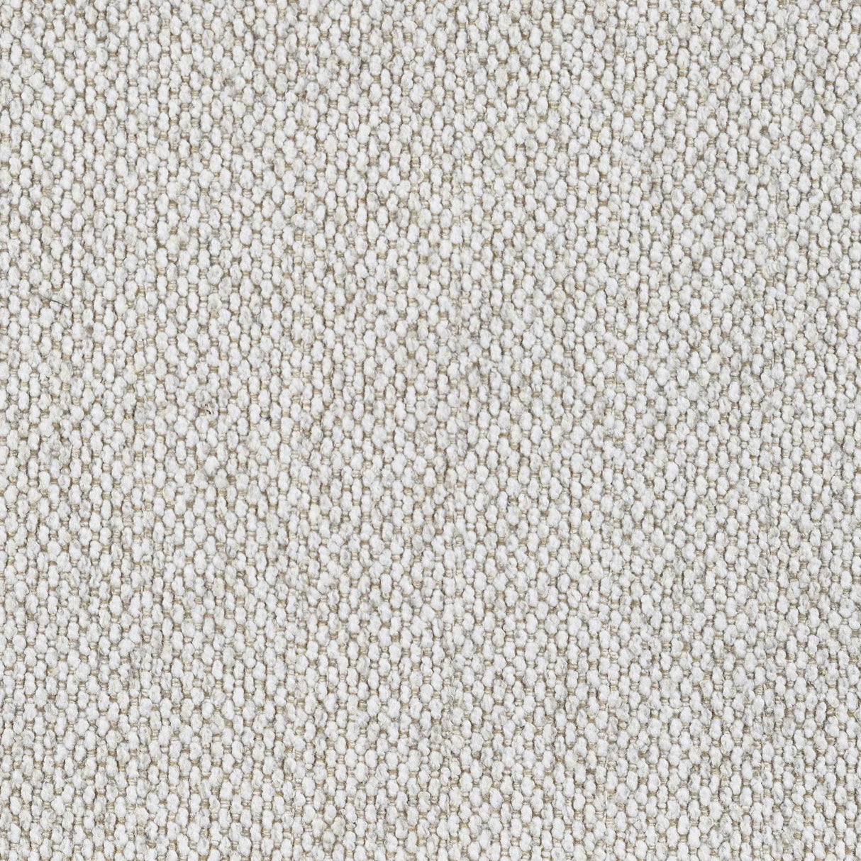Rainn Latte Upholstered Tight Back Sofa by Coaster at Eve Furniture