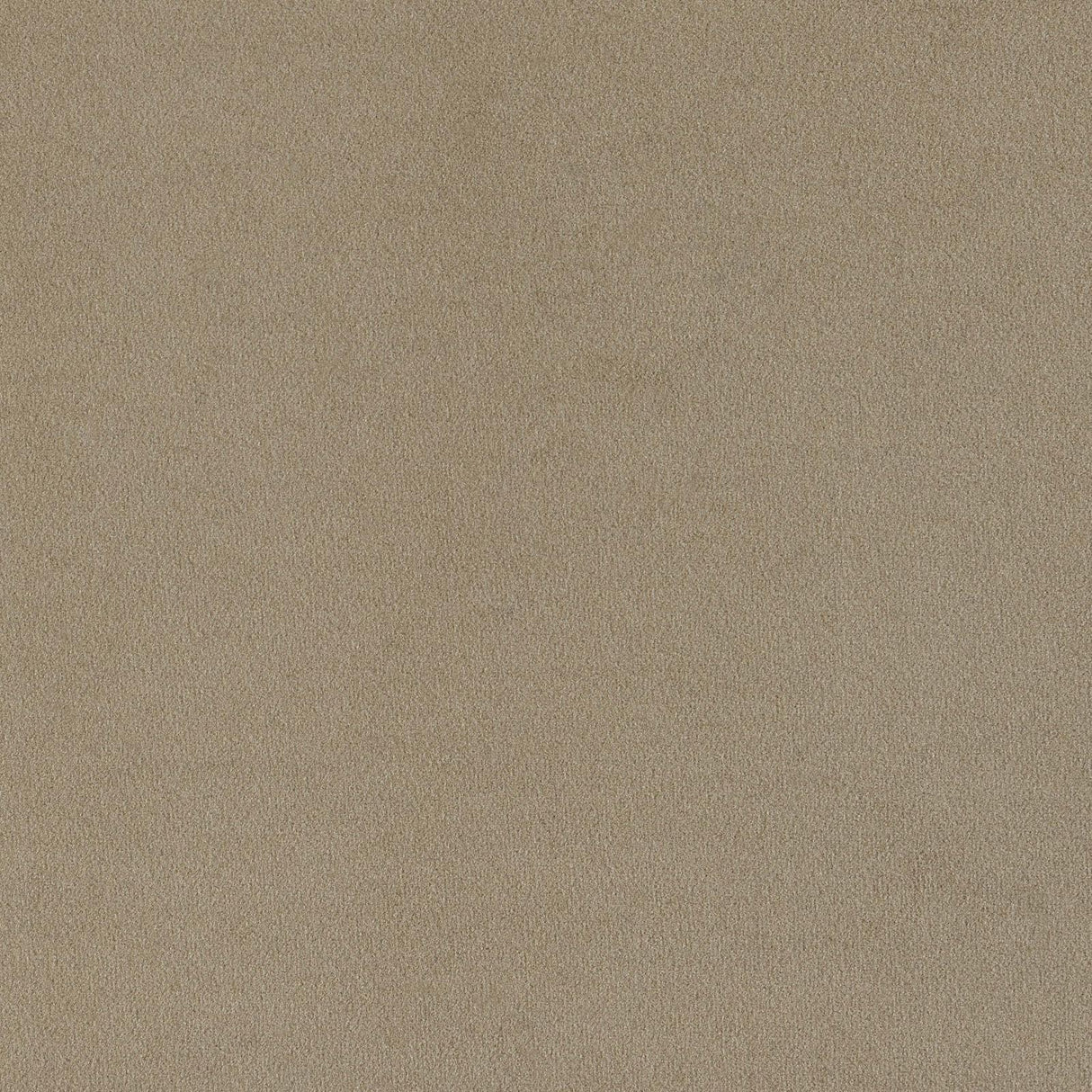 Rainn Latte Upholstered Tight Back Sofa by Coaster at Eve Furniture