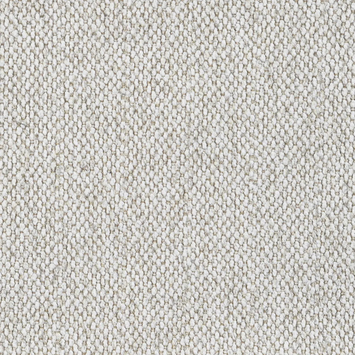 Rainn Upholstered Tight Back Chair Latte by Coaster at Eve Furniture