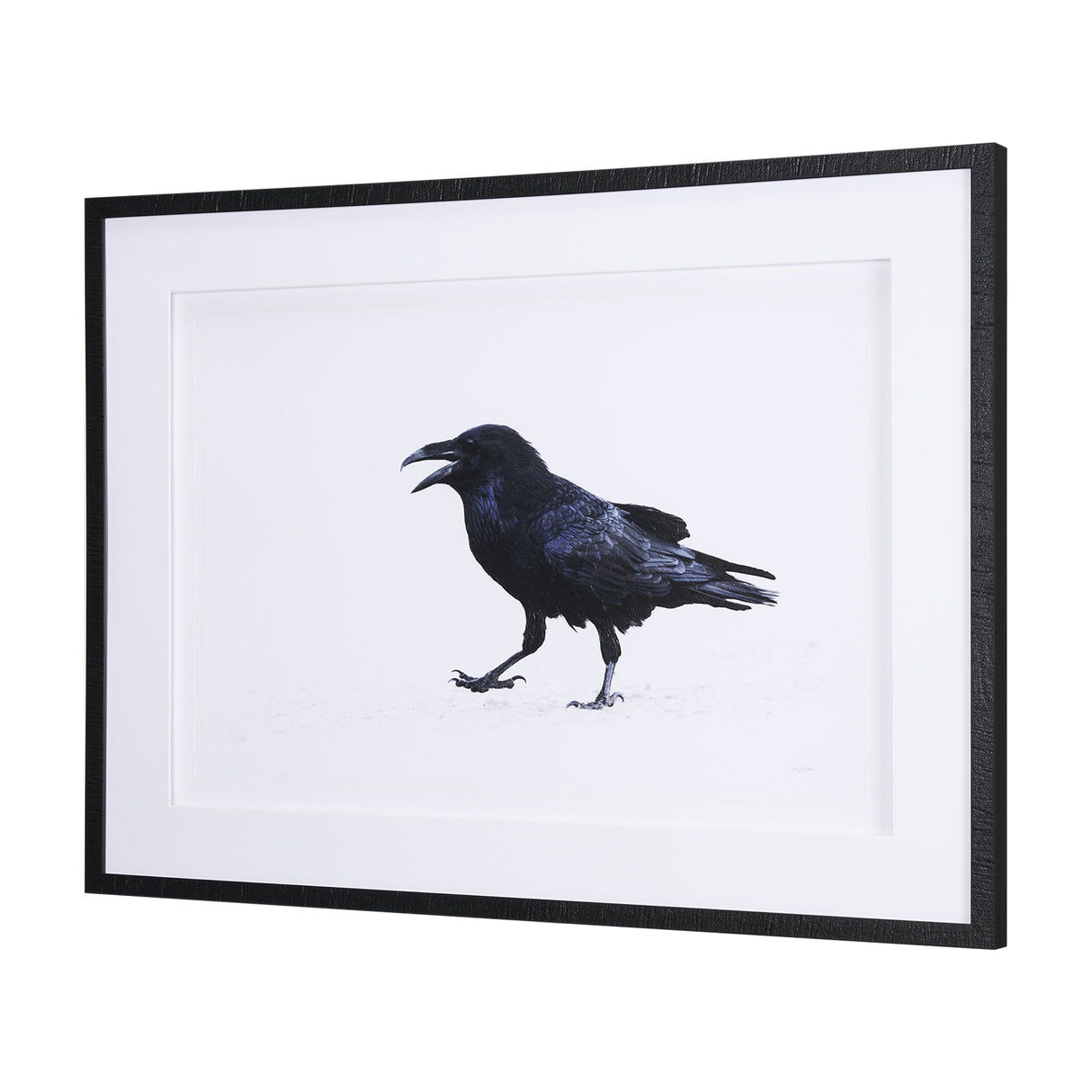 Raven Beauty by Gary Blatter a Hand Embellished Textured Framed Photo Art Print Matted under Glass by Mercana at Eve Furniture