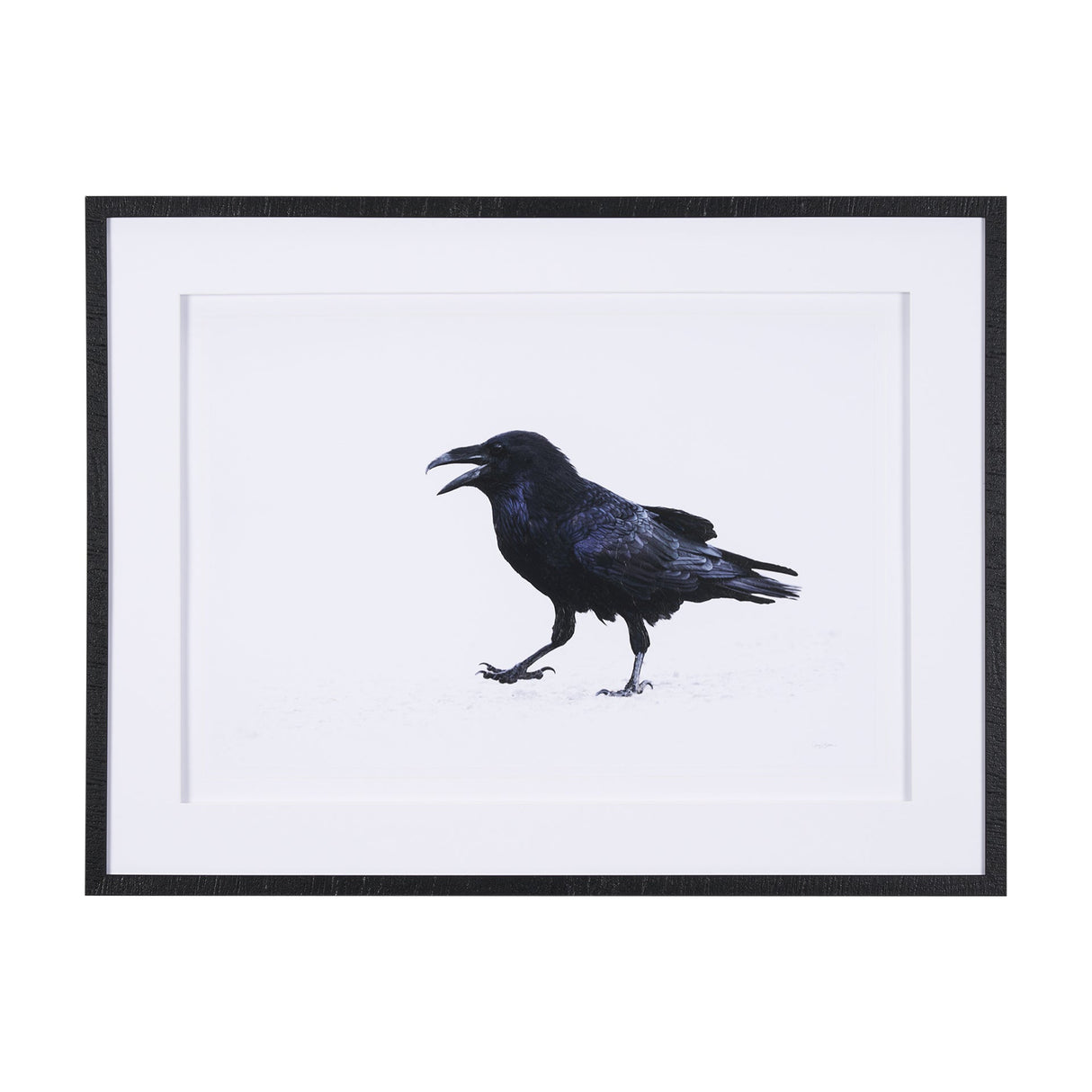 Raven Beauty by Gary Blatter a Hand Embellished Textured Framed Photo Art Print Matted under Glass by Mercana at Eve Furniture
