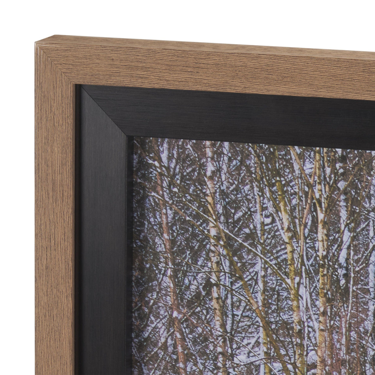Riverside Reflection - Forest by Mikael Svensson a Framed Photo Art Print Matted under Glass by Mercana at Eve Furniture