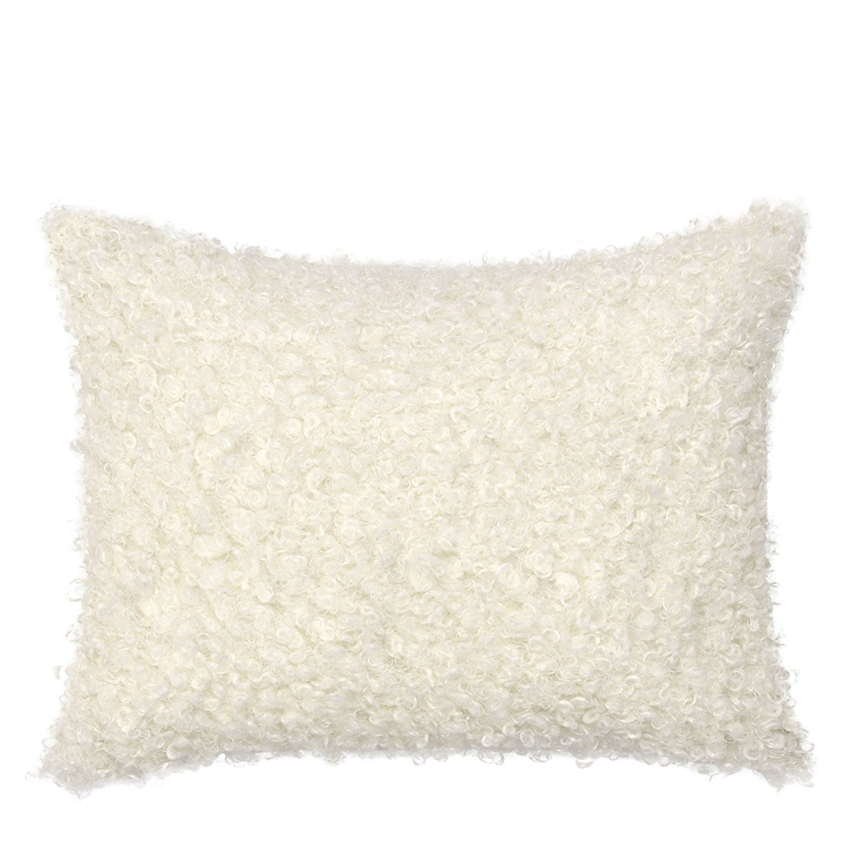 RN Carters Ivory Multiple Sizes Throw Pillow (Set of 2) (Set of 2) by Classic Home at Eve Furniture