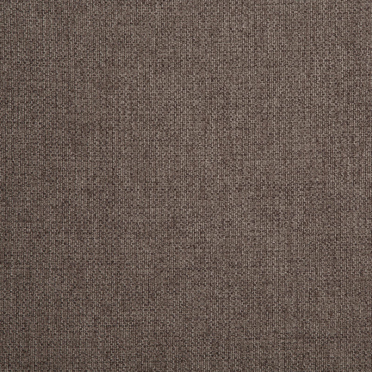 Robin Brown Upholstered Accent Bench with Raised Arms and Pillows by Coaster at Eve Furniture