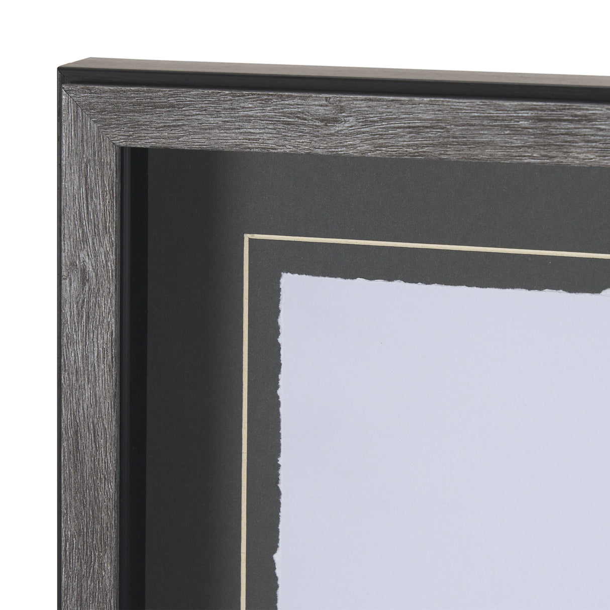 Robin BW I by Mercana Studio a Hand Embellished Textured Framed Art Print Matted under Glass by Mercana at Eve Furniture