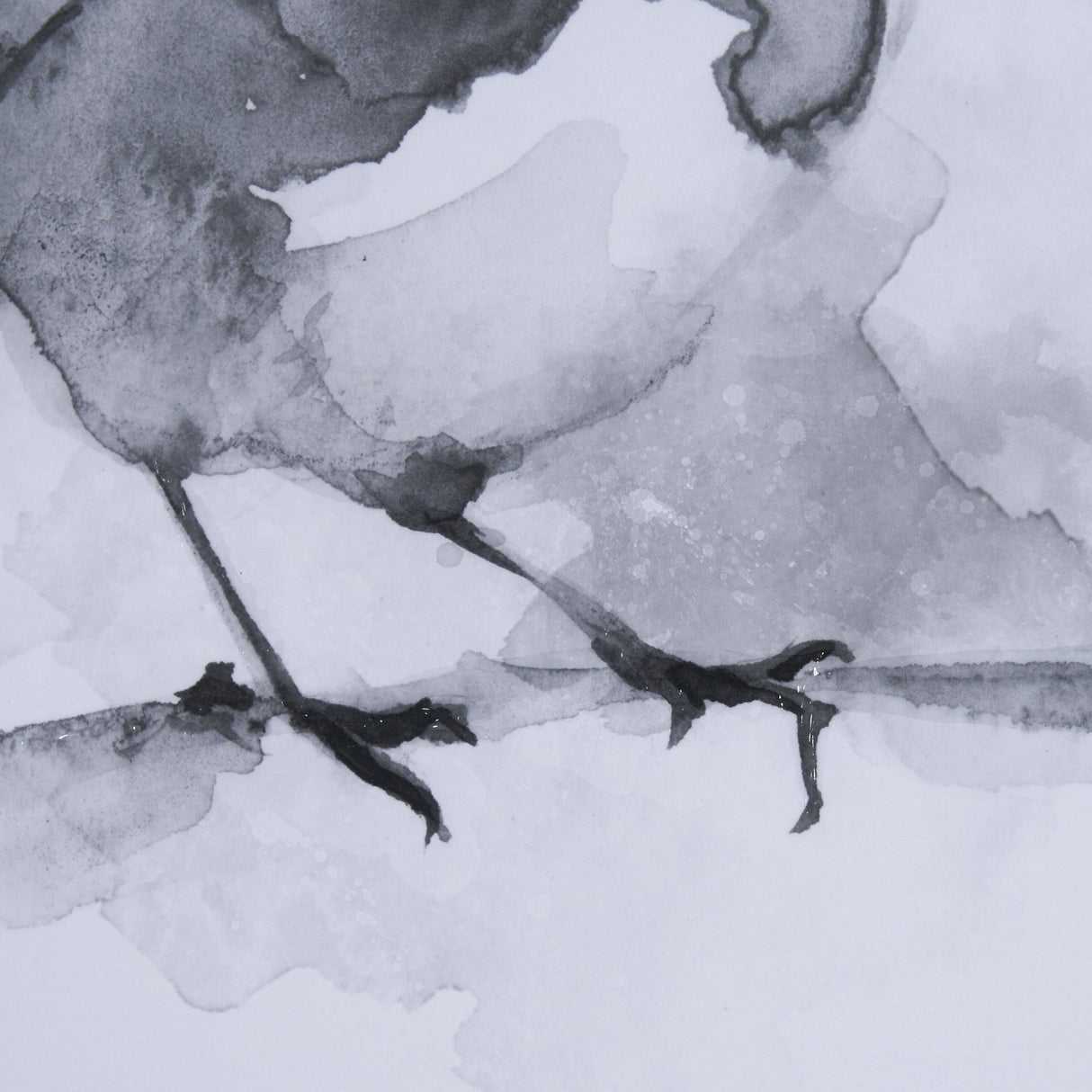 Robin BW I by Mercana Studio a Hand Embellished Textured Framed Art Print Matted under Glass by Mercana at Eve Furniture