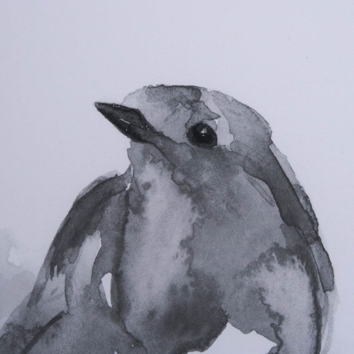Robin BW I by Mercana Studio a Hand Embellished Textured Framed Art Print Matted under Glass by Mercana at Eve Furniture