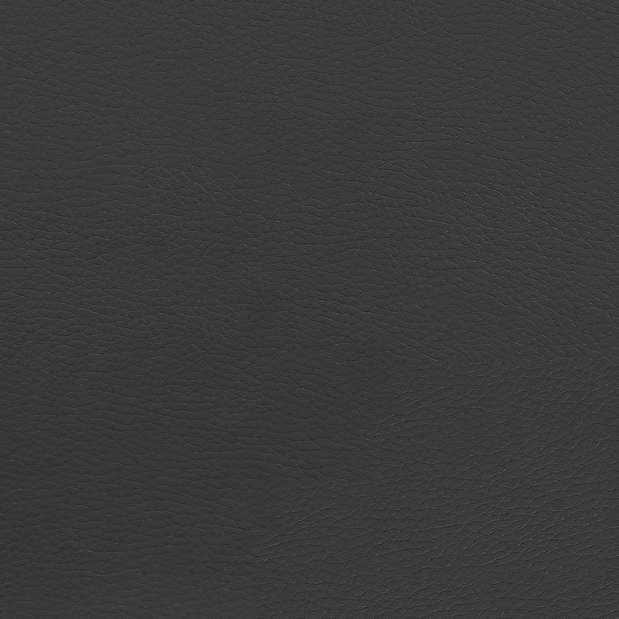 Roger Black/Gray Adjustable Height Office Chair by Coaster at Eve Furniture