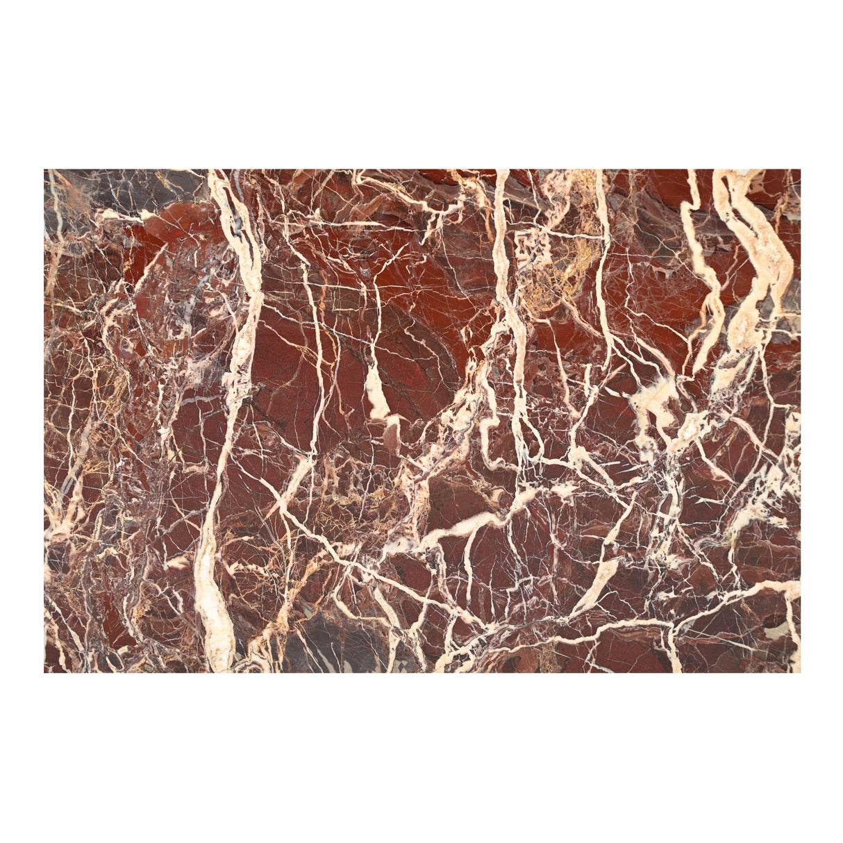 Rosa Rosso Levanto Marble Coffee Table by Moe's Home at Eve Furniture