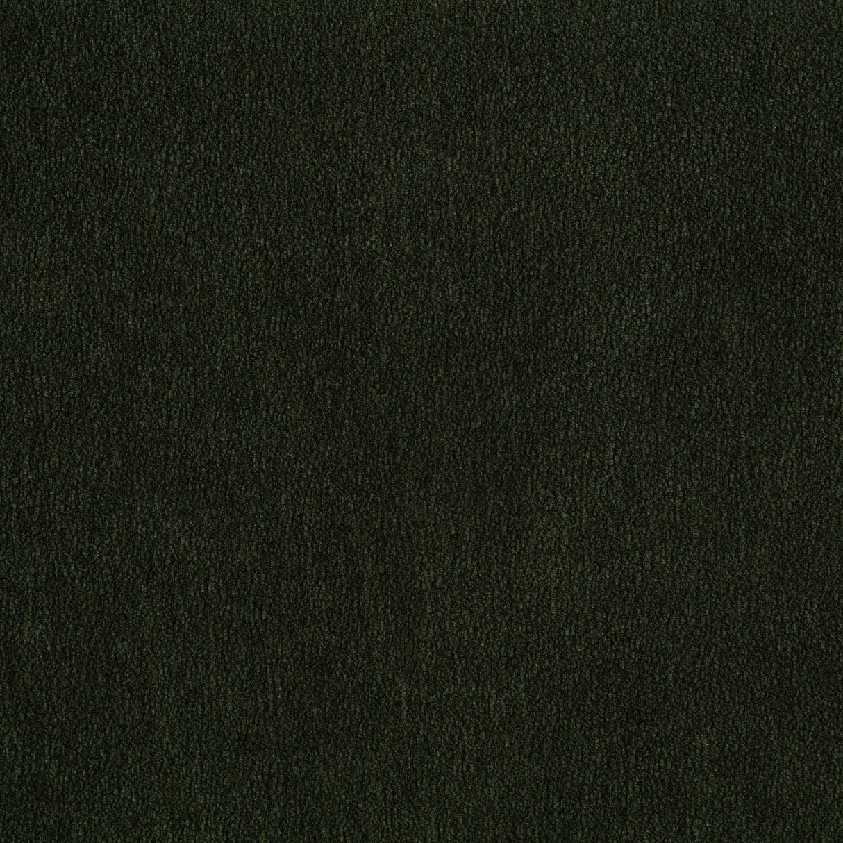 Ruth Matcha Green Fabric Upholstered Track Arm Accent Chair by Coaster at Eve Furniture