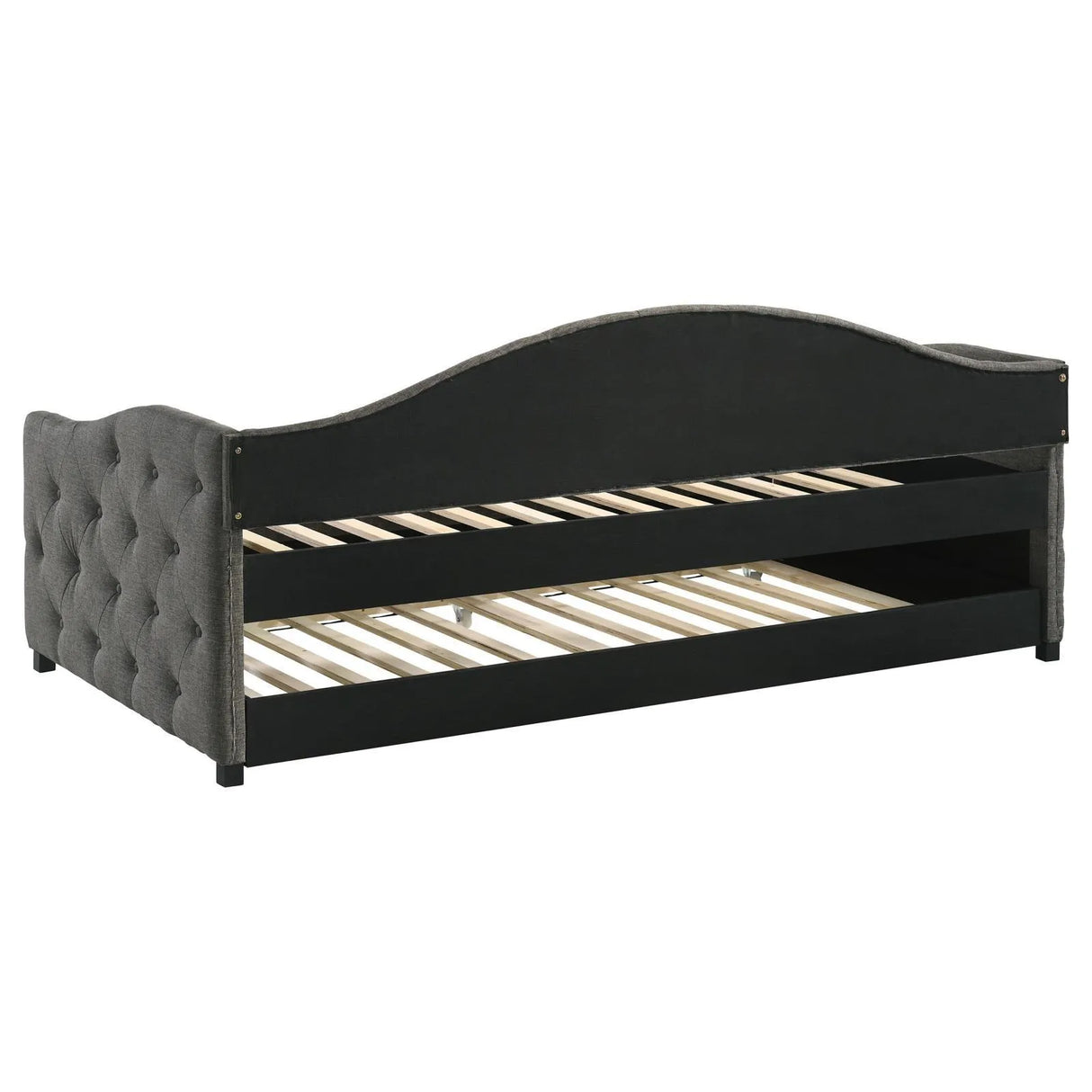 Sadie Upholstered Twin Daybed with Trundle by Coaster at Eve Furniture