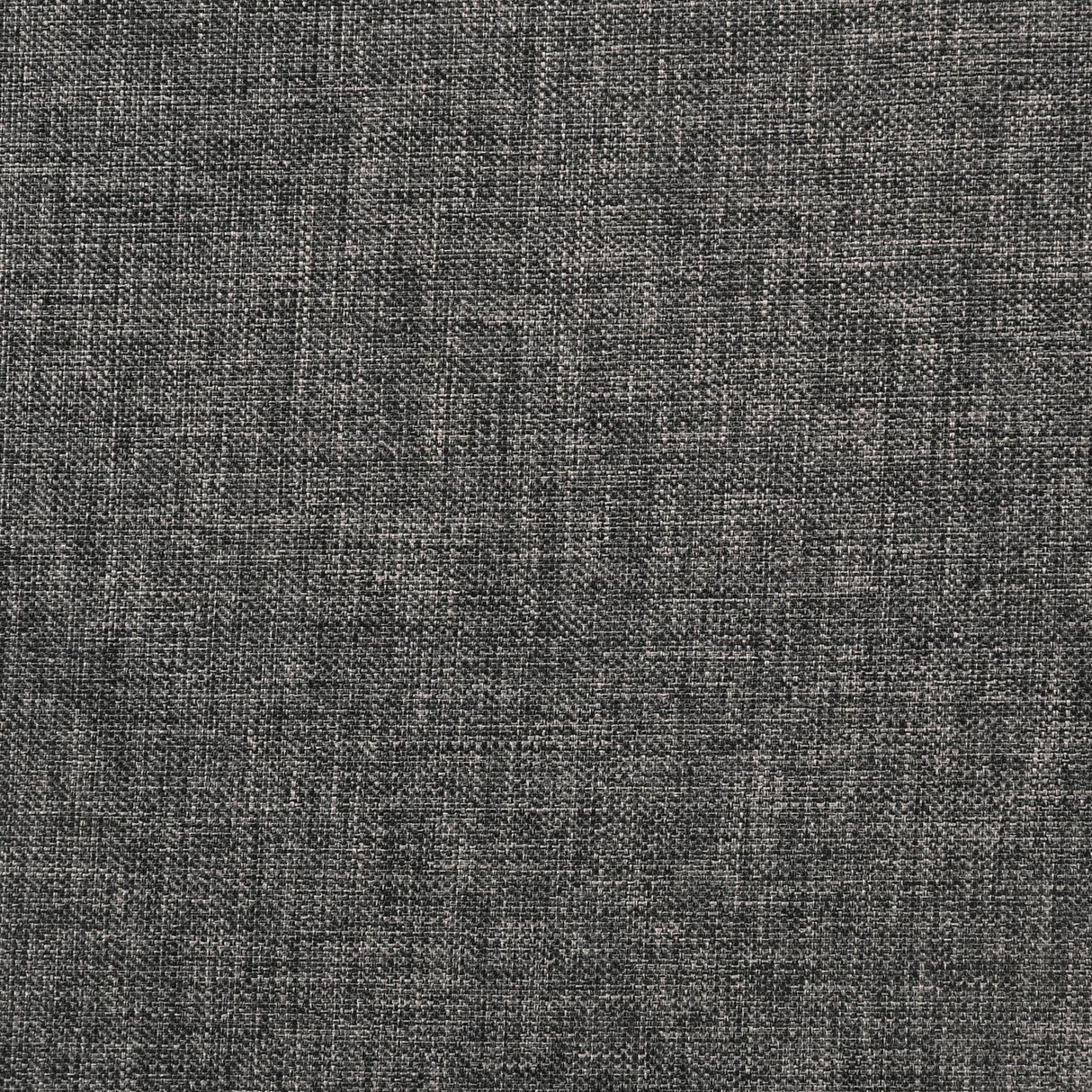 Sadie Upholstered Twin Daybed with Trundle by Coaster at Eve Furniture