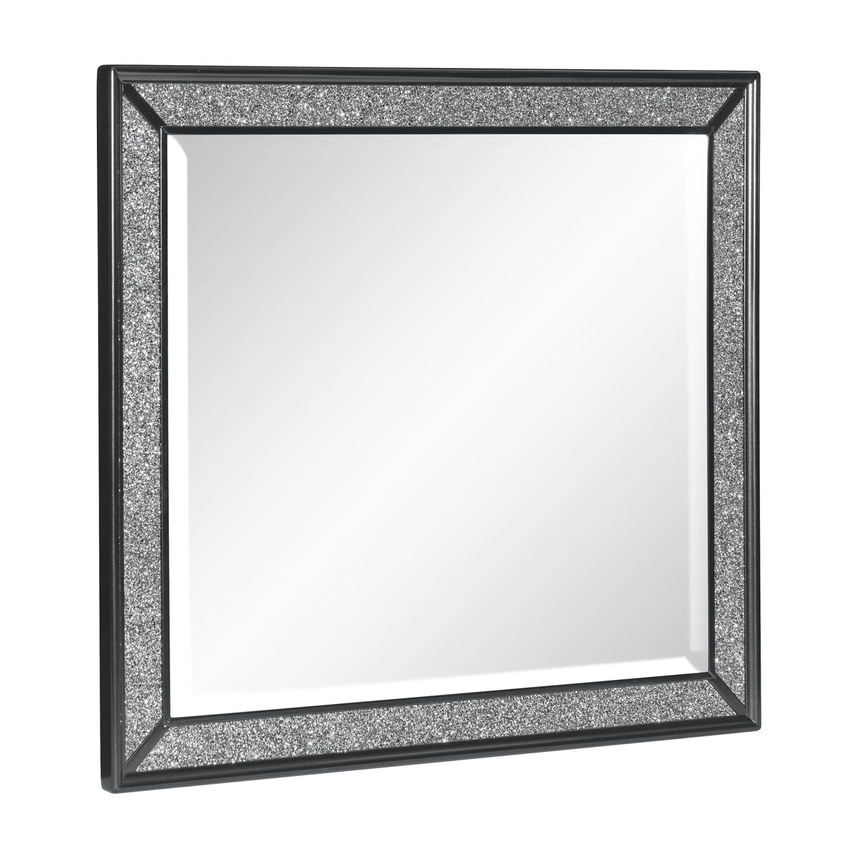 Salon Black Mirror (Mirror Only) by Homelegance at Eve Furniture
