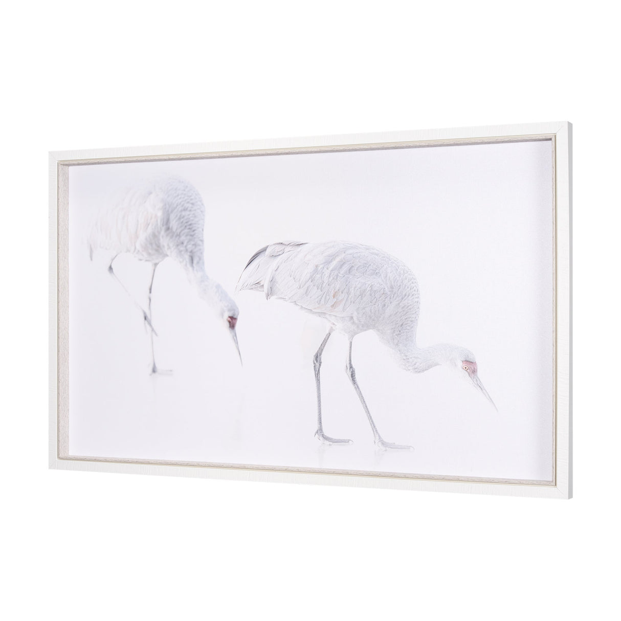 Sandhill Crane I by Chad Mckay a Hand Embelished Textured Framed Photo Art Print by Mercana at Eve Furniture