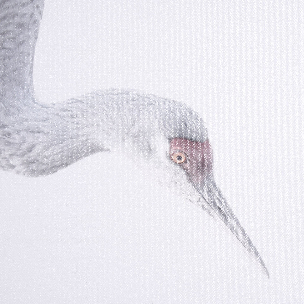 Sandhill Crane I by Chad Mckay a Hand Embelished Textured Framed Photo Art Print by Mercana at Eve Furniture
