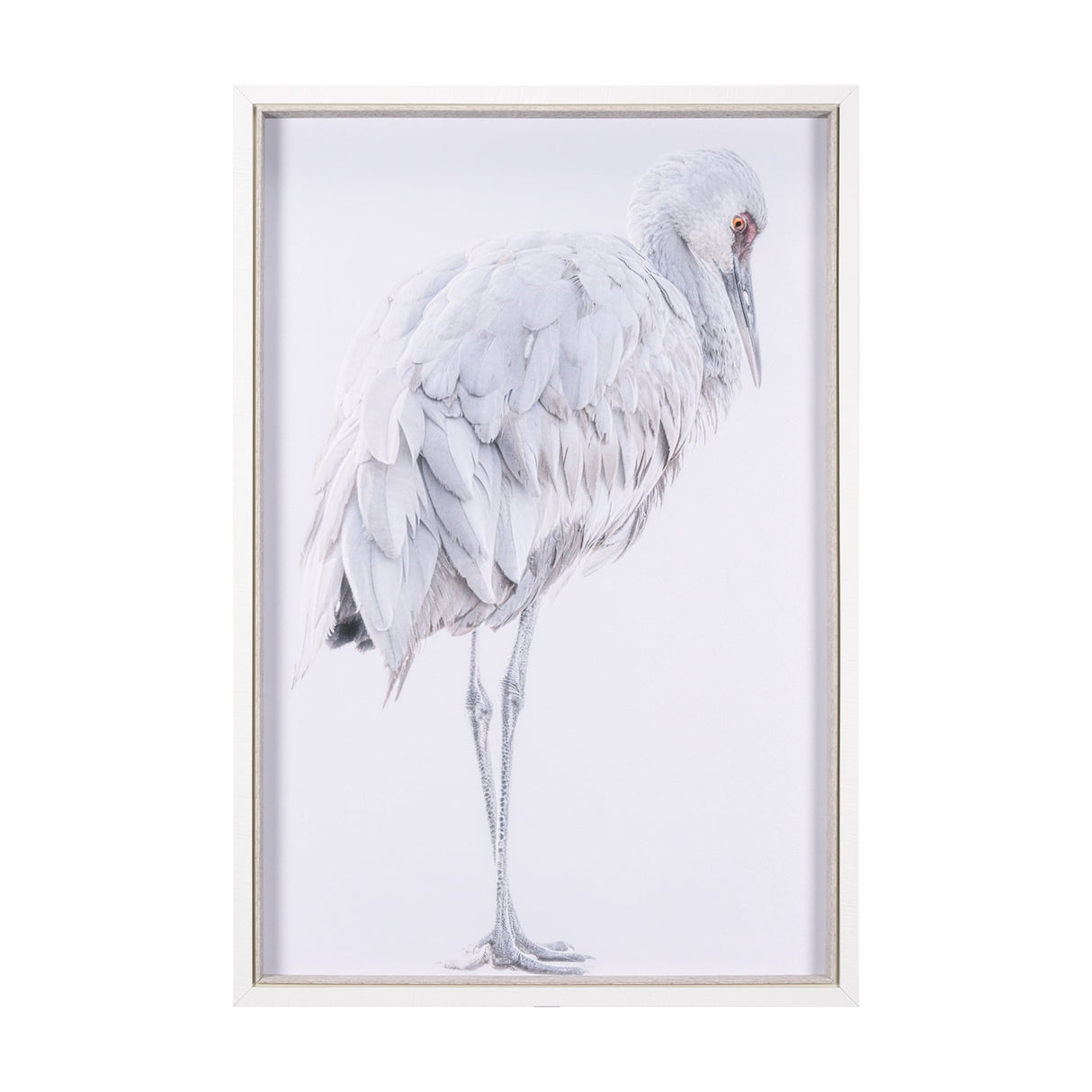 Sandhill Crane II by Chad Mckay a Hand Embelished Textured Framed Photo Art Print by Mercana at Eve Furniture
