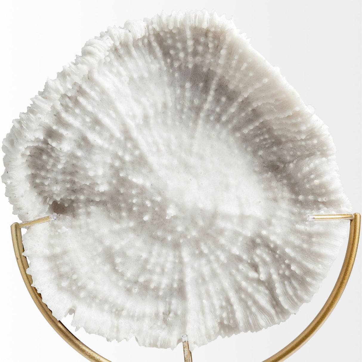 Sandy I (Small) 6L x 3W White Coastal Sand Dollar Object by Mercana at Eve Furniture