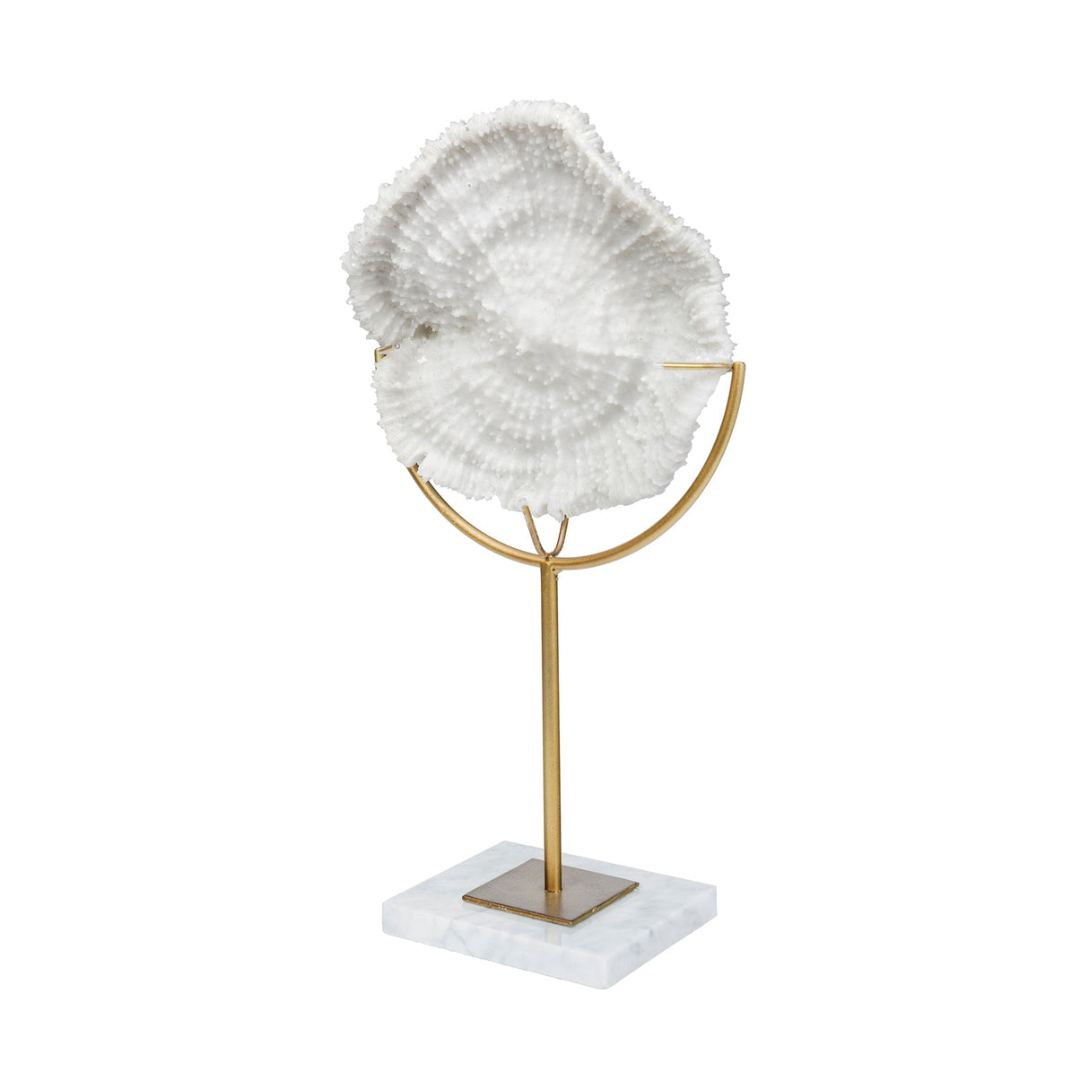 Sandy I (Small) White Coastal Sand Dollar Object by Mercana at Eve Furniture
