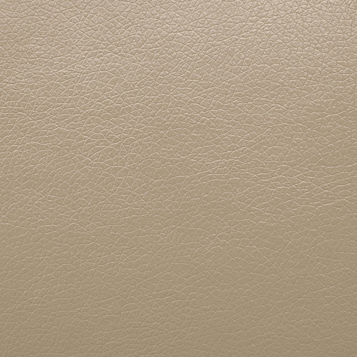 Schlieren Beige Leatherette Reclining Living Room Set by Furniture of America at Eve Furniture