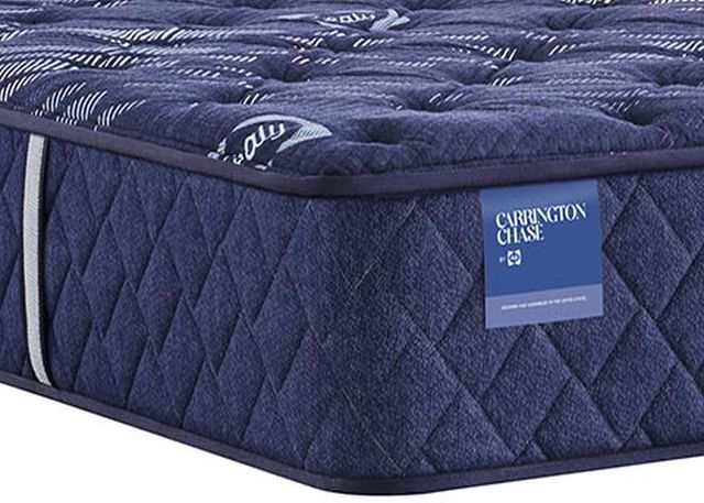 Sealy Carrington Chase Spring Travelers Rest Innerspring Extra Firm Tight Top Mattress by Sealy at Eve Furniture