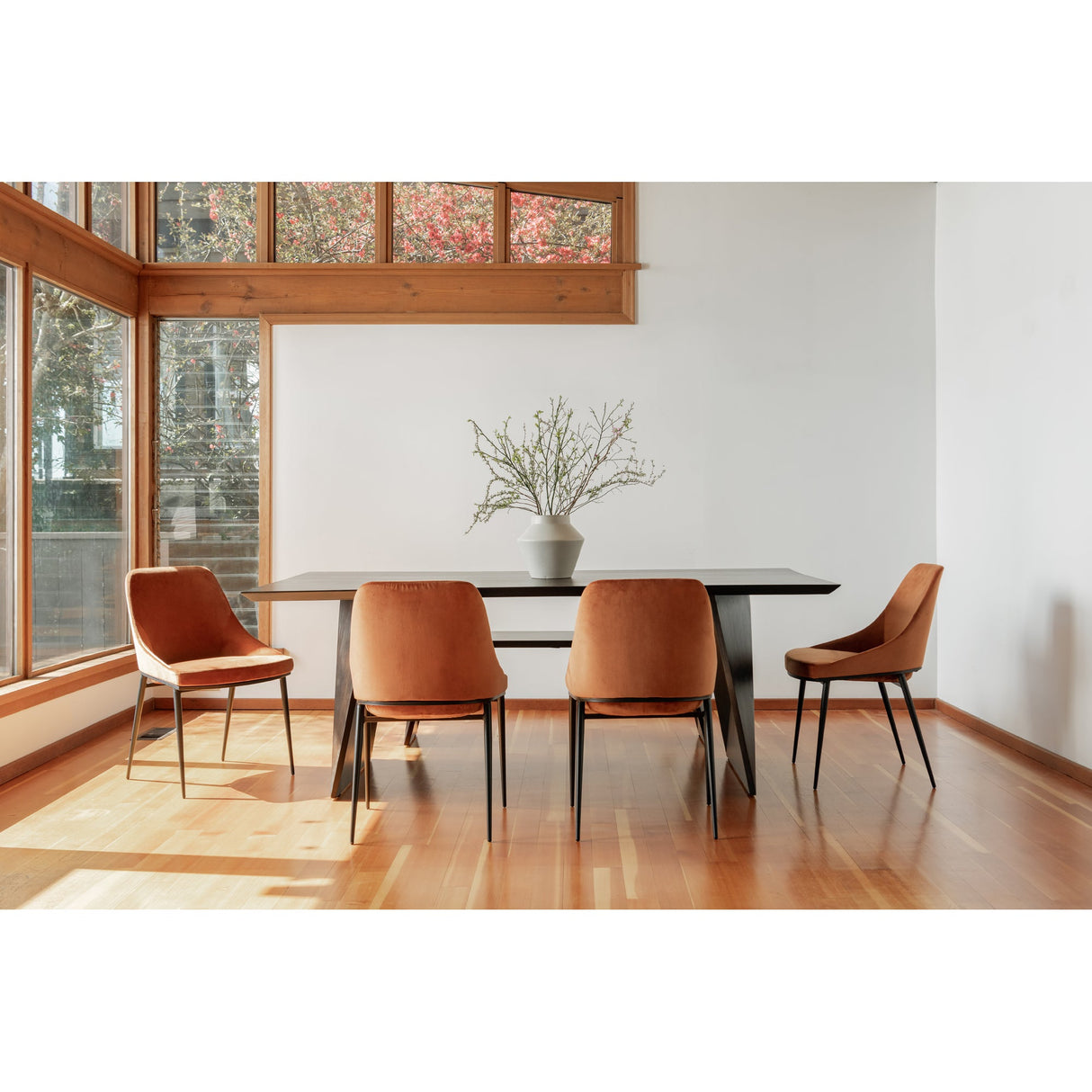 Sedona Amber Dining Chair (Set of 2) by MOES at Eve Furniture