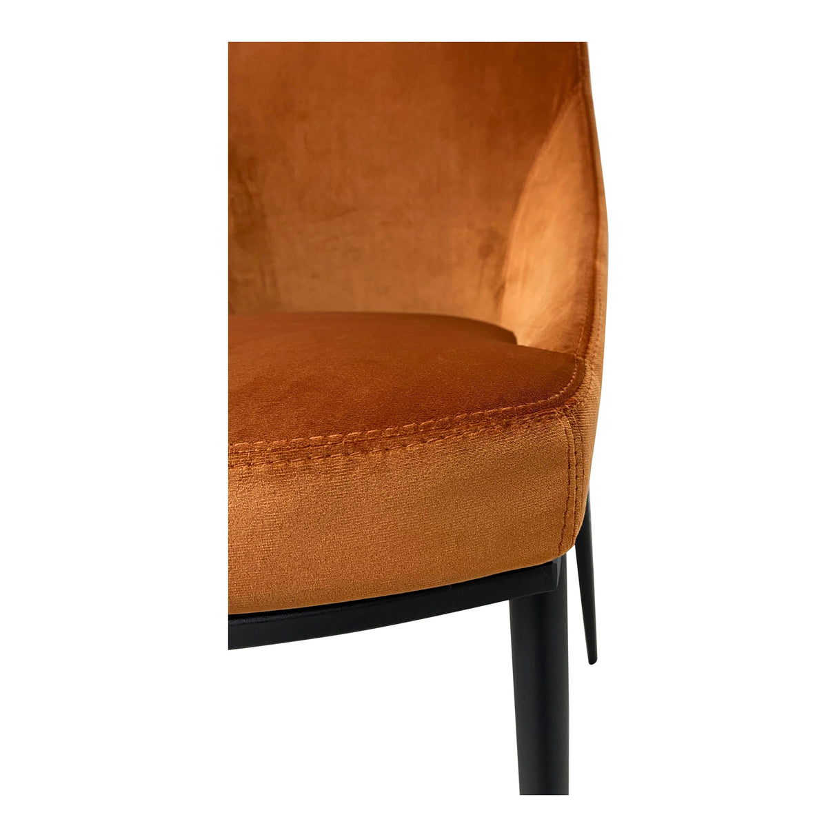 Sedona Amber Dining Chair (Set of 2) by MOES at Eve Furniture
