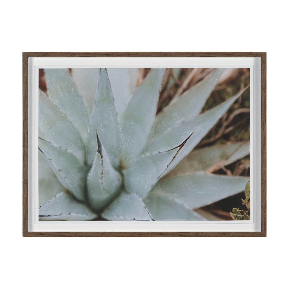 Sedona by Kelly Frere Hand-Embellished FramedPhoto Print Matted under Glass by Mercana at Eve Furniture