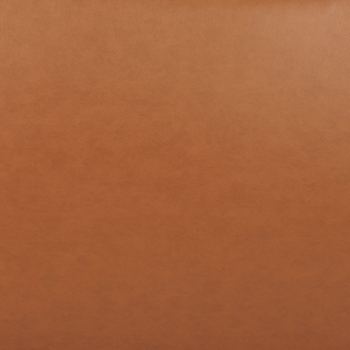 Sekil Brown Accent Chair by Zuomod at Eve Furniture