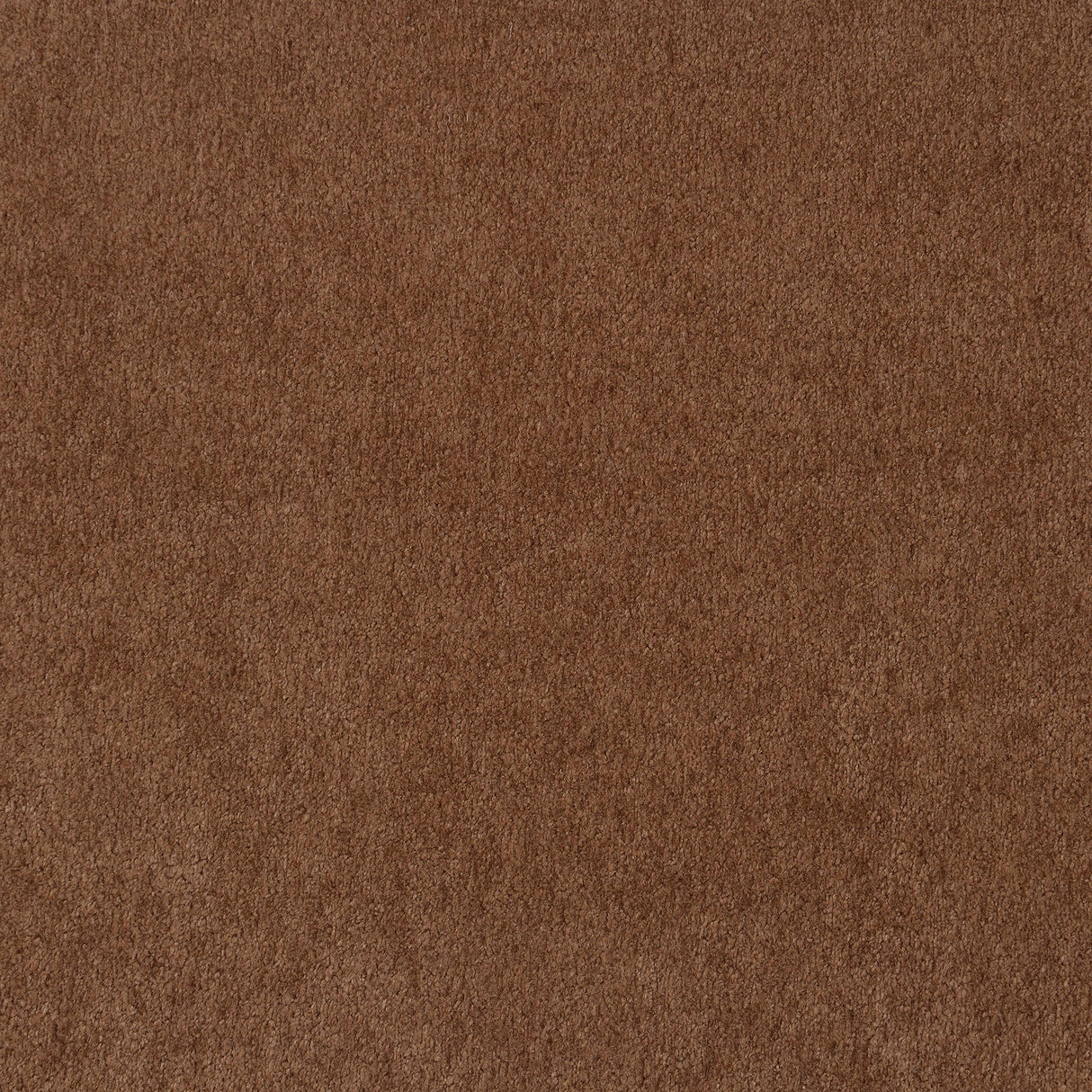 Selma Rust Velvet Crescent Arm Sofa by Coaster at Eve Furniture