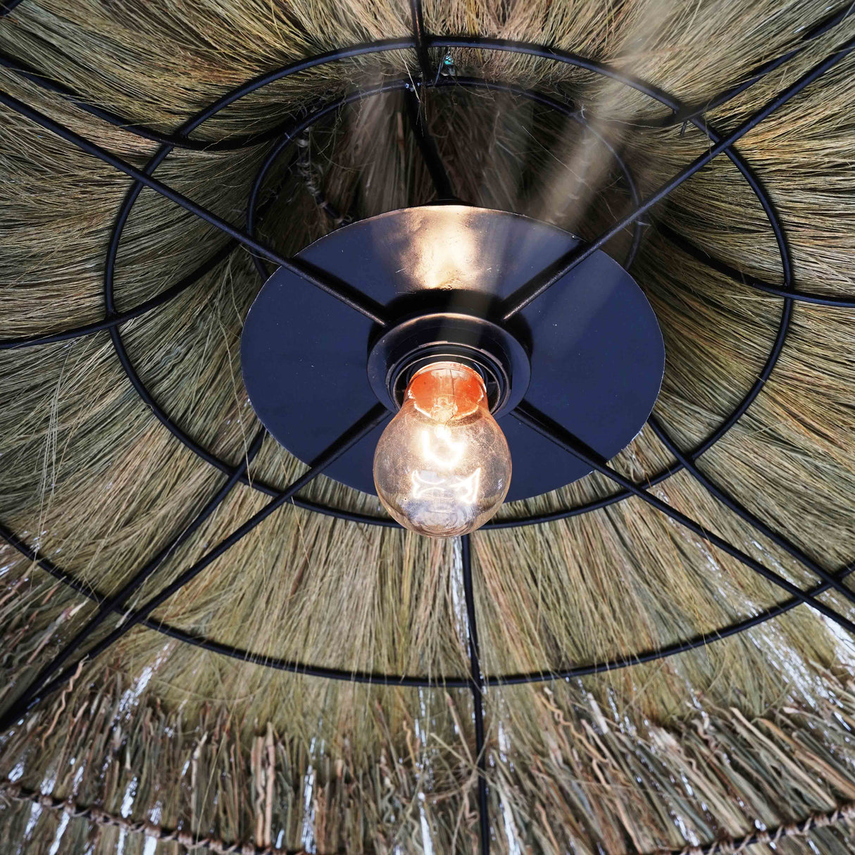 Serengeti Large Pendant Lamp by TOV Furniture at Eve Furniture