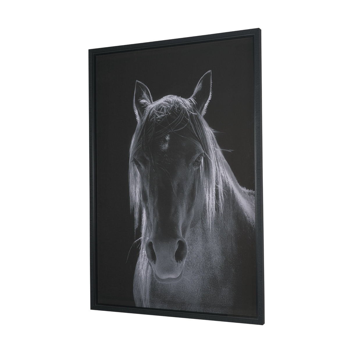 Shadowborn Majesty by Frank Ma Framed Photo Print Matted under Glass by Mercana at Eve Furniture