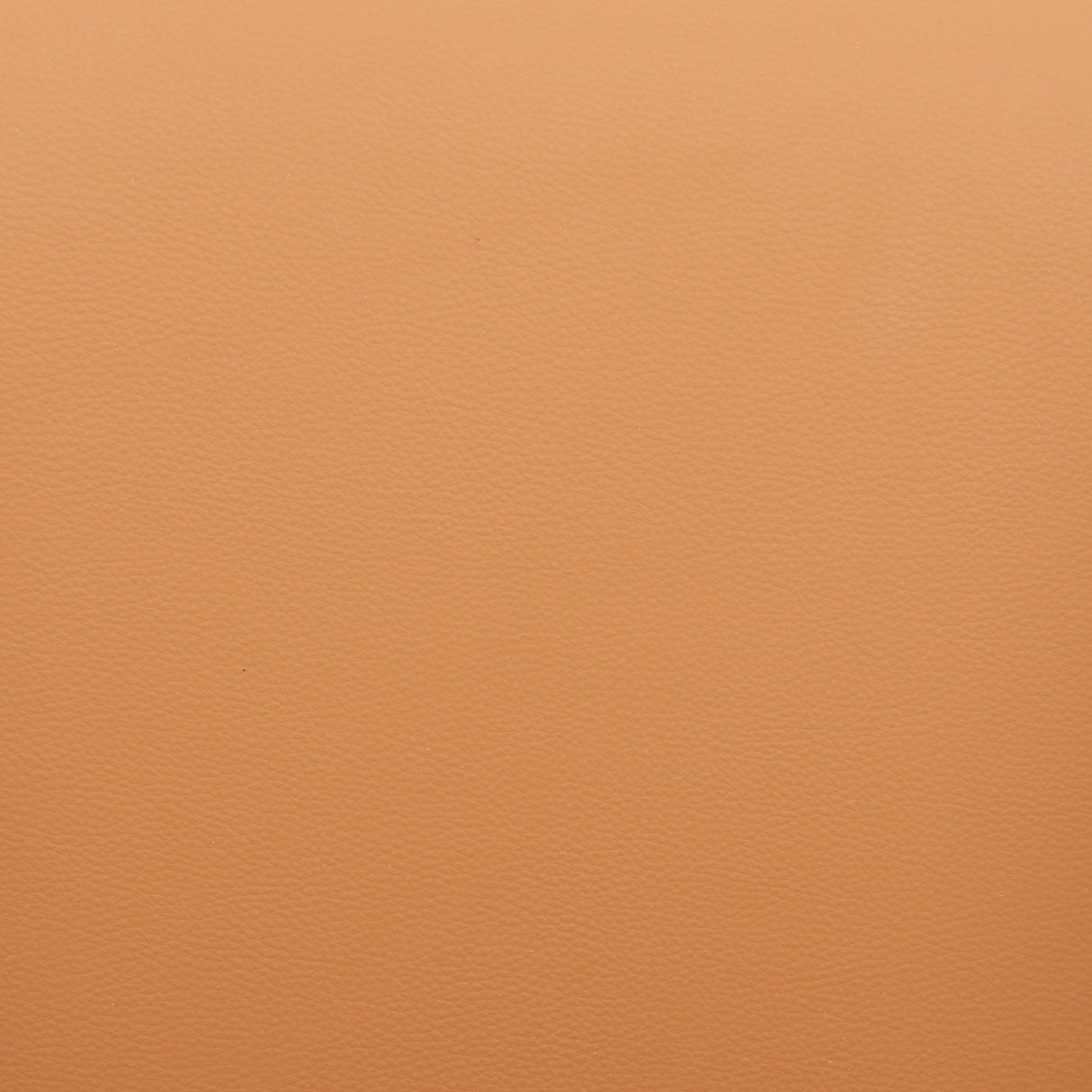 Shaili Brown Counter Stool by Zuomod at Eve Furniture