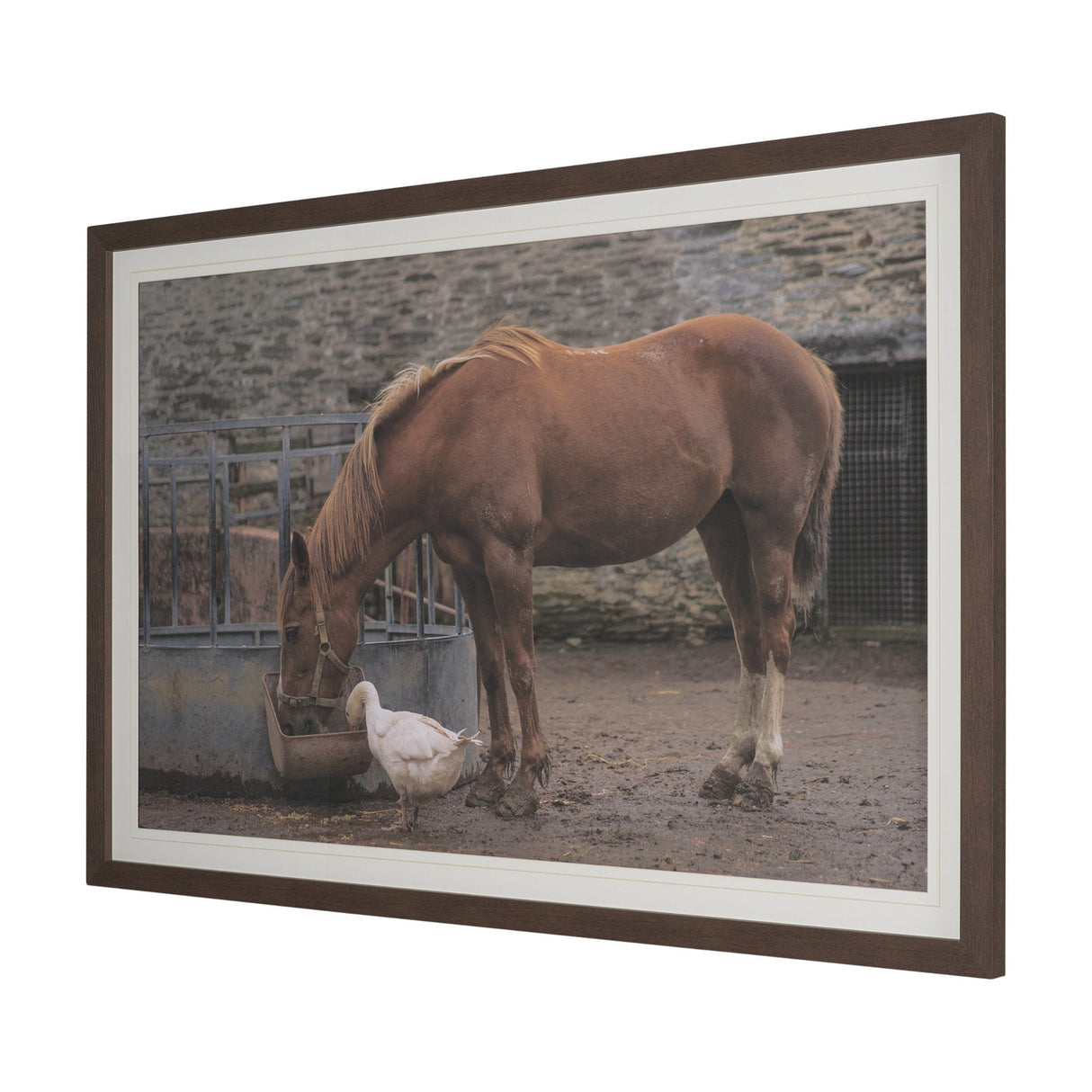 Sharing Lunch by Gert van den Bosch FramedPhoto Print Matted under Glass by Mercana at Eve Furniture