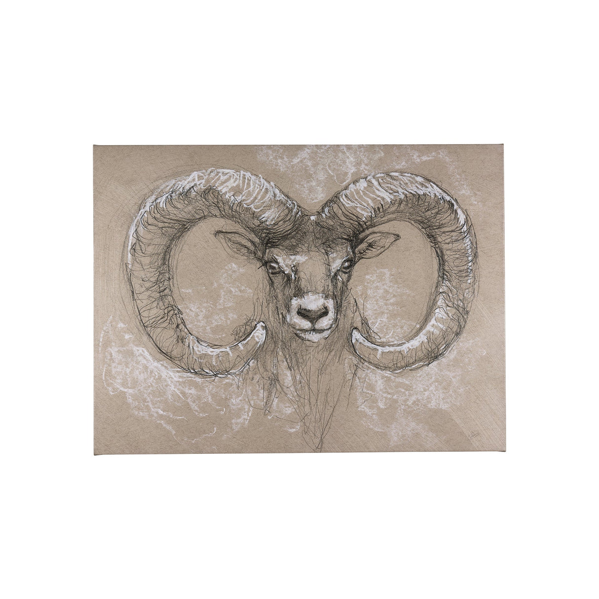 Sketch of animal I (Wild sheep) by Mercana Studio a Hand Embellished Textured Canvas by Mercana at Eve Furniture