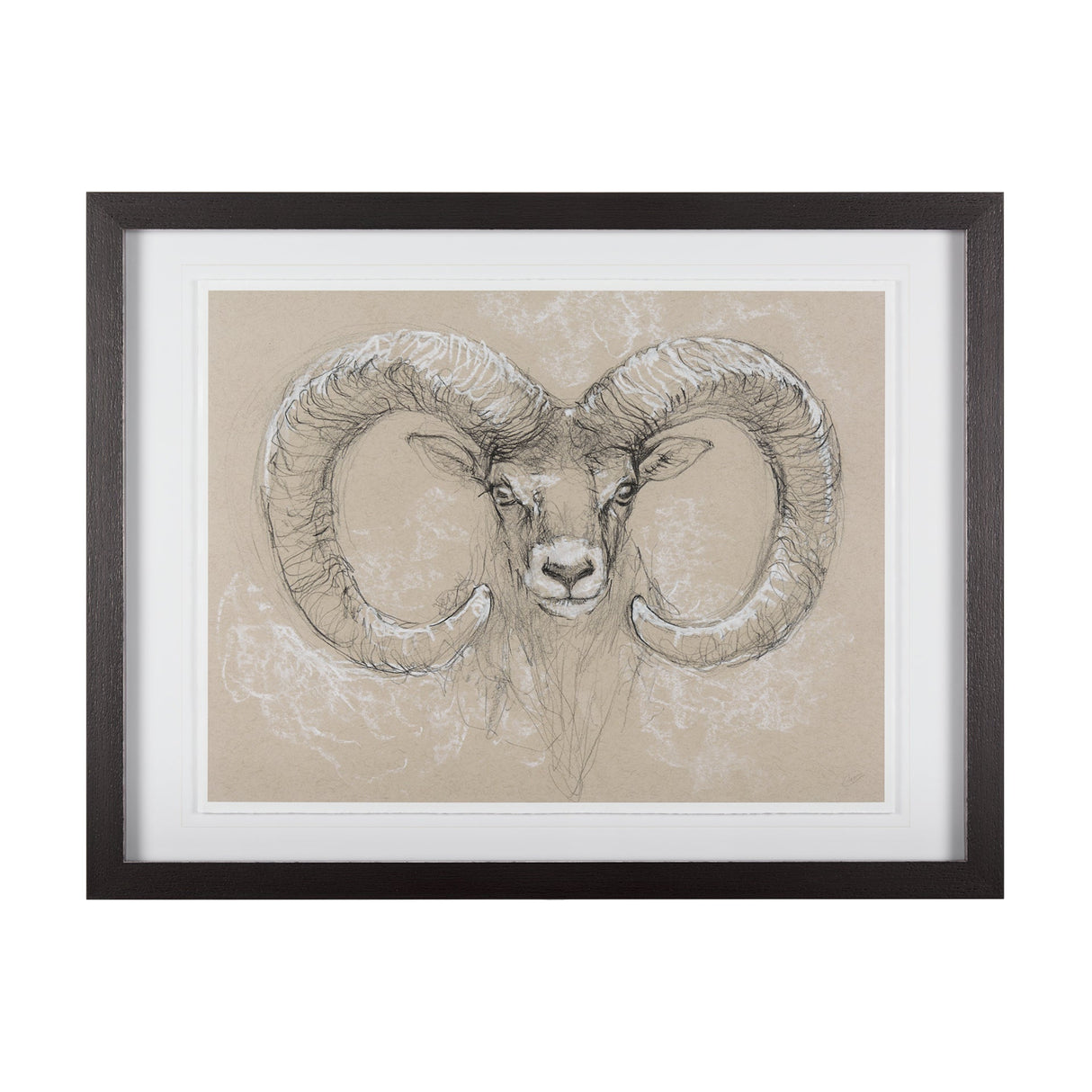 Sketch of animal I (Wild sheep) Mercana Studio Hand Embellished Framed Art Print Matted under Glass by Mercana at Eve Furniture