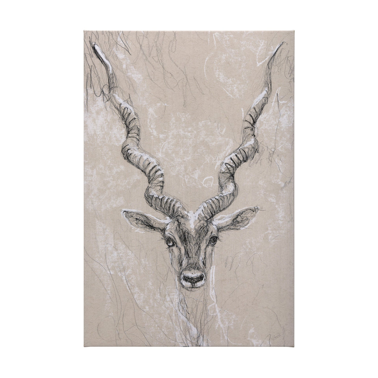 Sketch of animal III (Antelope) by Mercana Studio a Hand Embellished Textured Canvas by Mercana at Eve Furniture